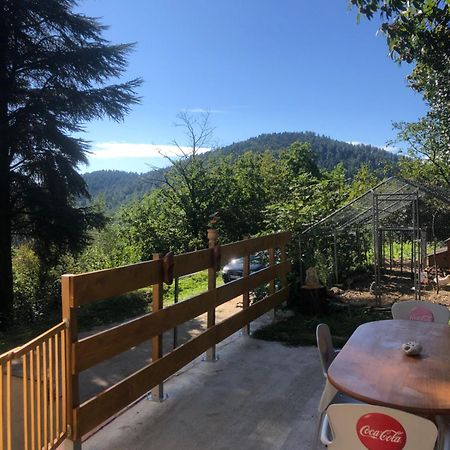Chambre Dans Les Cevennes Concoules エクステリア 写真